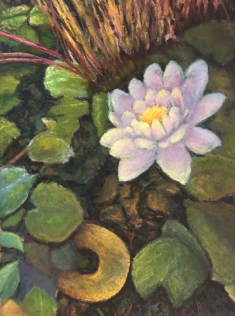 Frederiksburg Lily by artist Lisa Wright